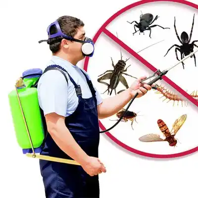 pest control Rosebud